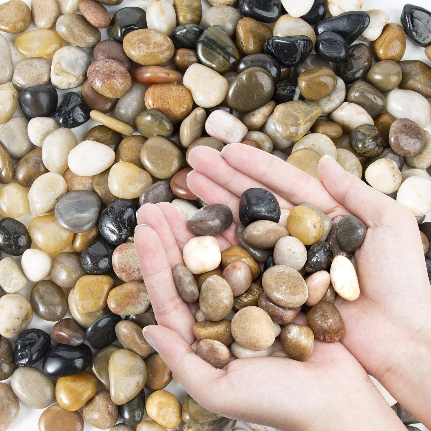 OUPENG Pebbles Polished Gravel, Natural Polished Mixed Color Stones,0.5-1.2inch Small Decorative River Rock Stones 2 Pounds (32-Oz)
