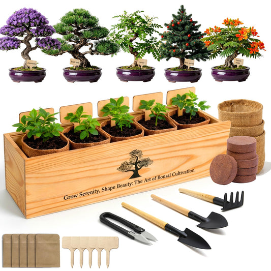 5X Bonsai Starter Kit, Bonzai Seed Kits, Durable Planting Bags, Complete Indoor Starter Kit for Growing Bonsai Plants, Gardening Gifts for Women & Men