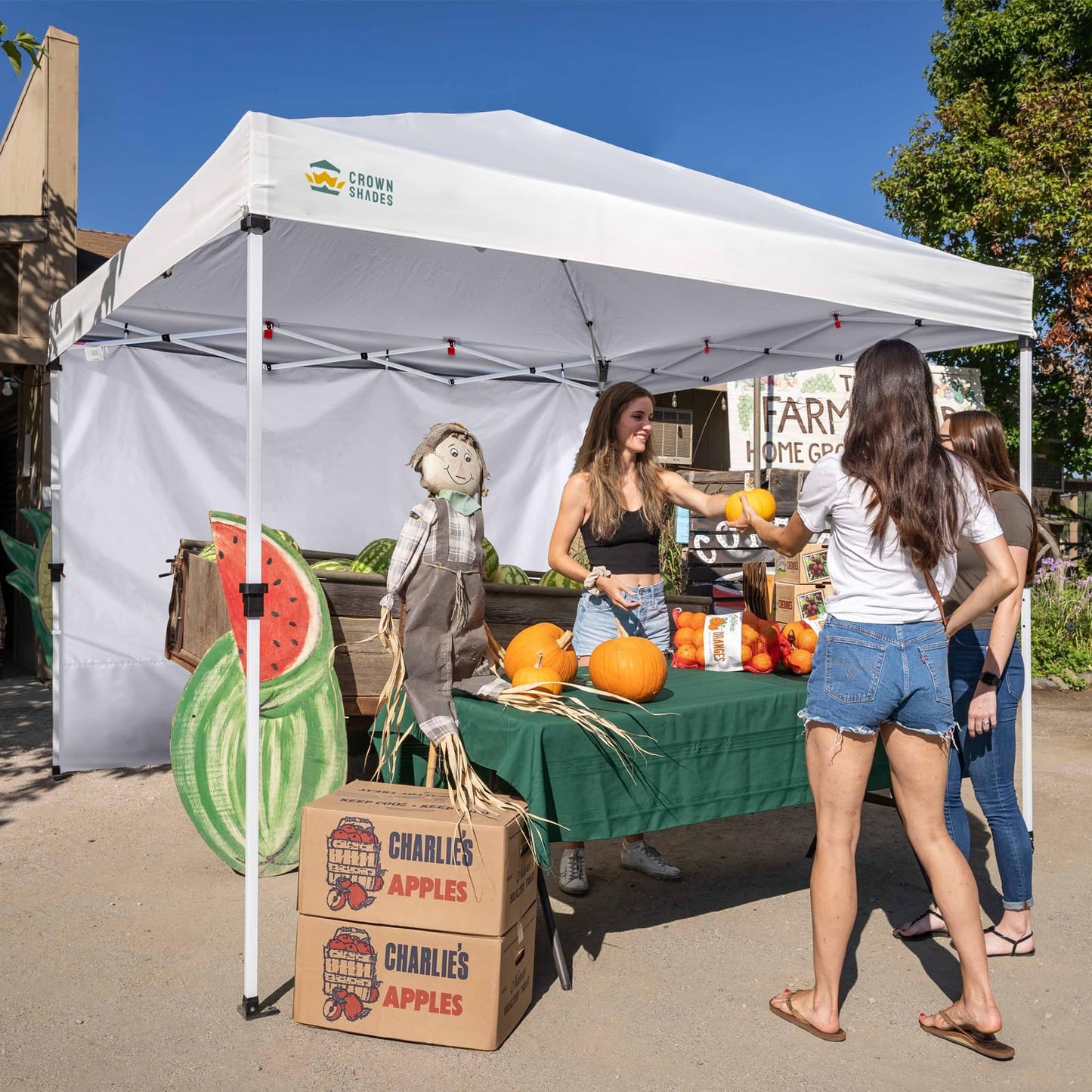 CROWN SHADES SunWall Silver Coated for 10x10 Pop up Canopy Tent, 1 Pack Sidewall Only with Silver Coating (1 Pack, White)