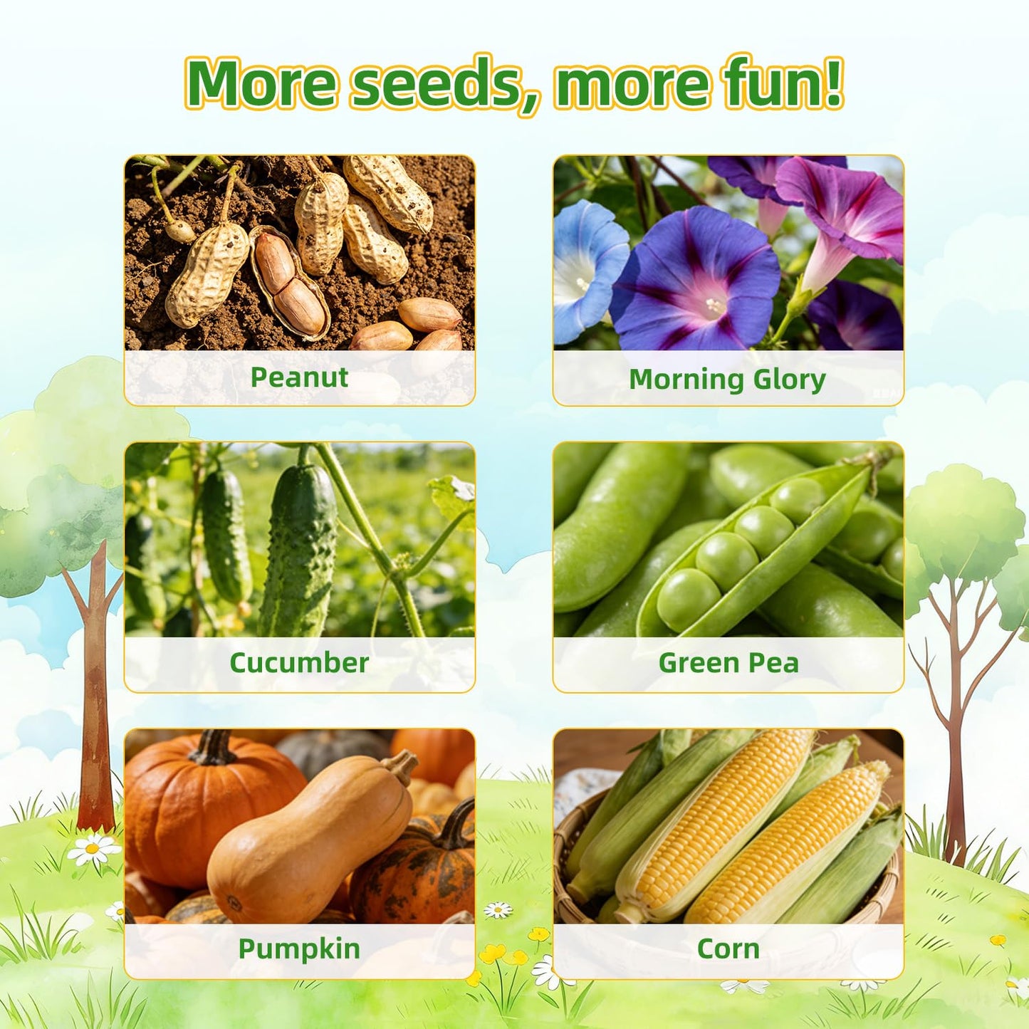 TitaniX Root Viewer Kit for Kids with 6 Seed Varieties, STEM Science Toy & Craft Growing Kits for Boys & Girls, Grow Your Own Plant for Ages 4-8 Birthday Gifts for Boy,4, 5, 6, 7, 8, Year Old