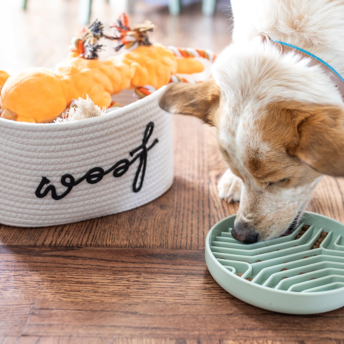 Paws For Reaction New Puppy Gift Basket - Premium Puppy Starter Kit and Dog Gift Basket with Dog Toys - Perfect Doggie Birthday Gifts and Puppy Necessities with Pet Toy Basket.