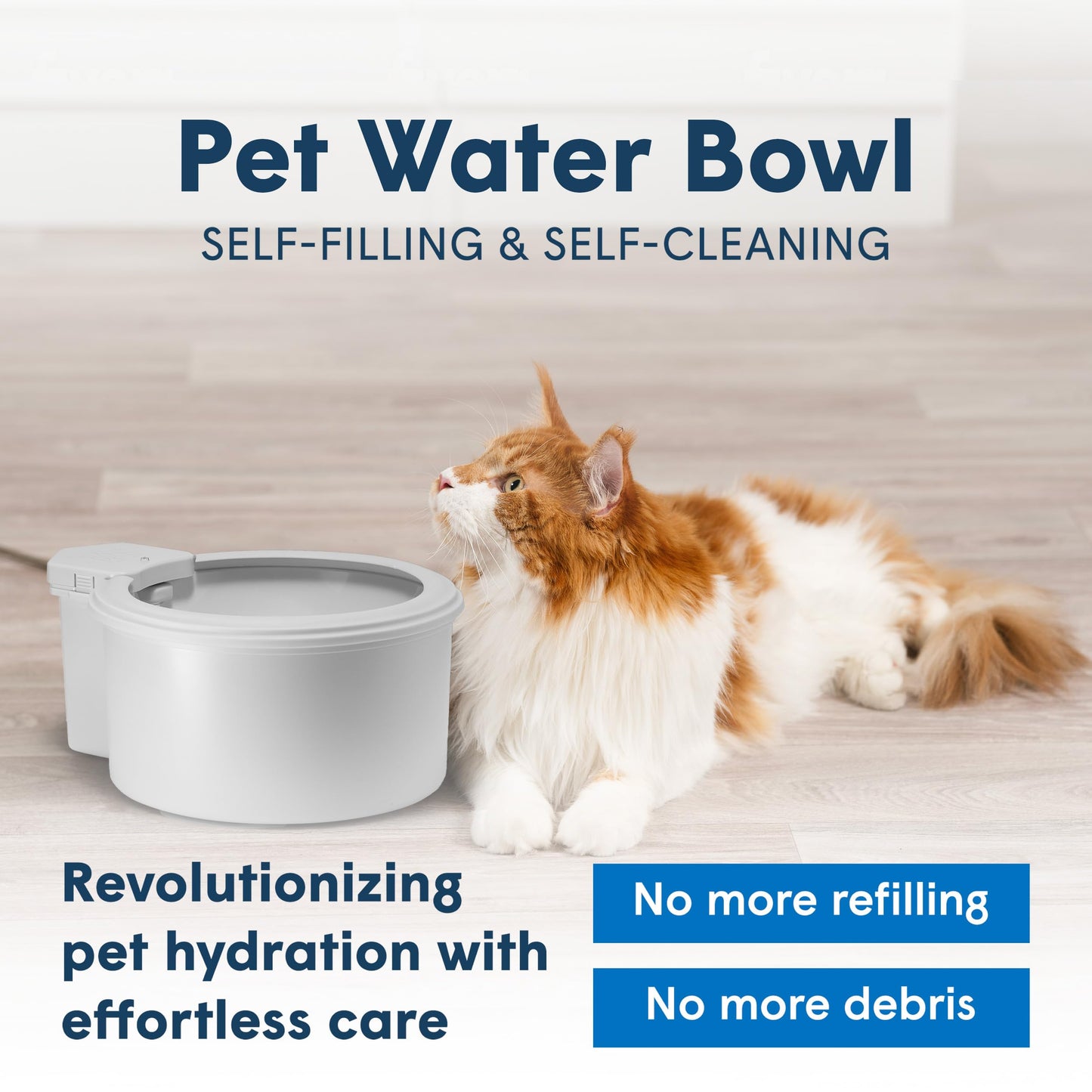 Always Full® 7” Cat Water Bowl and Bottle Pump Bundle, Self Refilling with Clean Filtered Water, App Enabled Smart Hydration Monitoring, Upgradeable System for Cats and Small Dogs