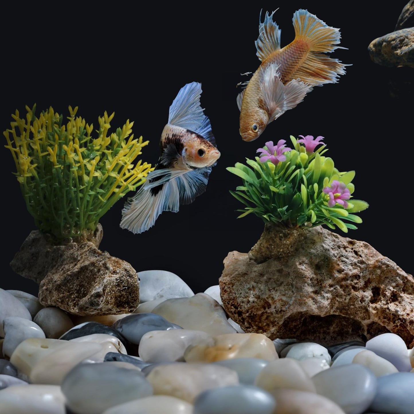 FINIKIS 2lbs White Pebbles for Indoor Plants, 1-2Inch Natural River Rocks for Aquarium, High Polished Decorative Stones for Vase Filler Fish Tank Landscaping Garden