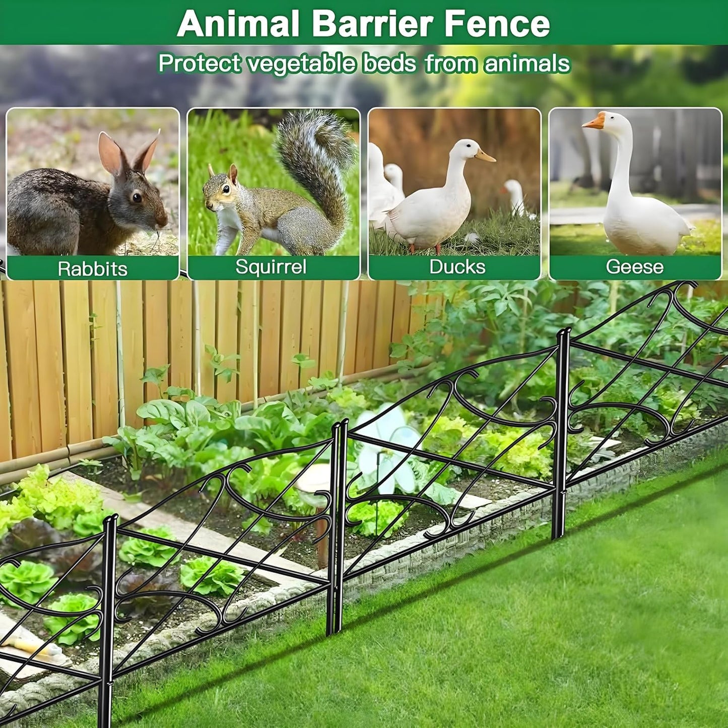 AMAGABELI GARDEN & HOME 5 Panels 32in(H)×10ft(L) Decorative Garden Fences and Borders for Dogs Rustproof Metal No Dig Fence Panels Garden Edging Border for Animal Barrier Flower Beds Yard Patio