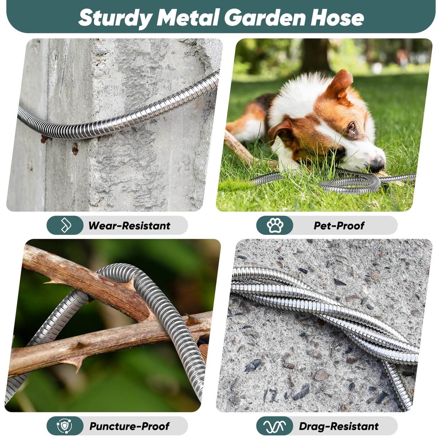 Amayrose Garden Hose with 10-Function Nozzle, Leak-proof Metal Connector Hose, No Knots, Kink-Free Hoses, Lighter, Anti-Pets, Wear-Resistant, 3/4 GHT, Water Hose for Garden, Yard, Outdoor（75 FT）