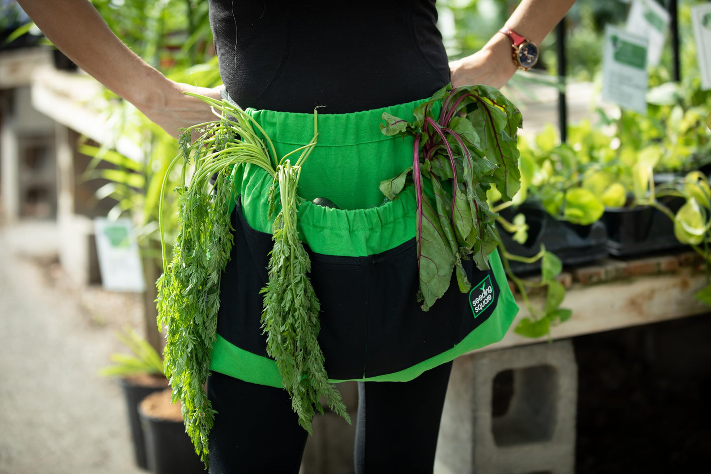 Seeding Square Harvest Garden Apron – pick fruits, vegetables, eggs and weeds & store small tools, seeds and personal items (Green Pockets on Black)