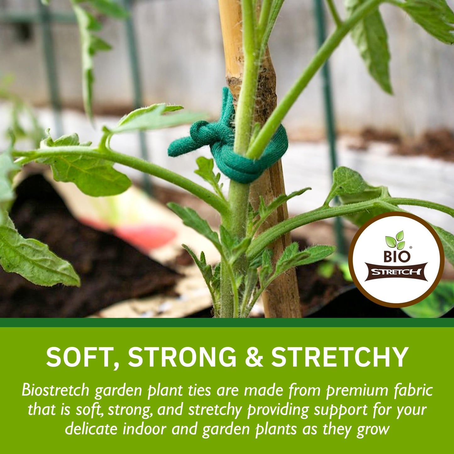 Biostretch Soft Garden Plant Ties for Indoor & Outdoor Plants - Strong & Stretchy Cut-to-Length Plant Tape for Climbing Plants, Tomato Vines & Home Gardening (656 ft / 200M)