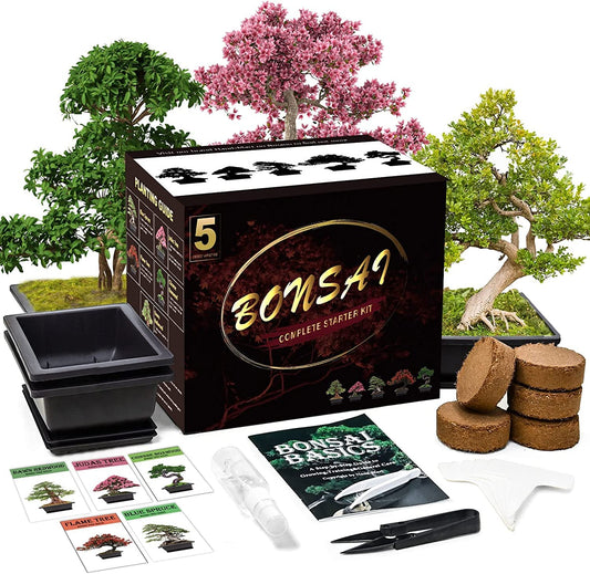 Meekear Bonsai Tree Kit with Complete Plant Growing Tools, Grow in Pot Indoor Bonsai Tree Starter Kit, Home Gardening DIY Gift for Adult