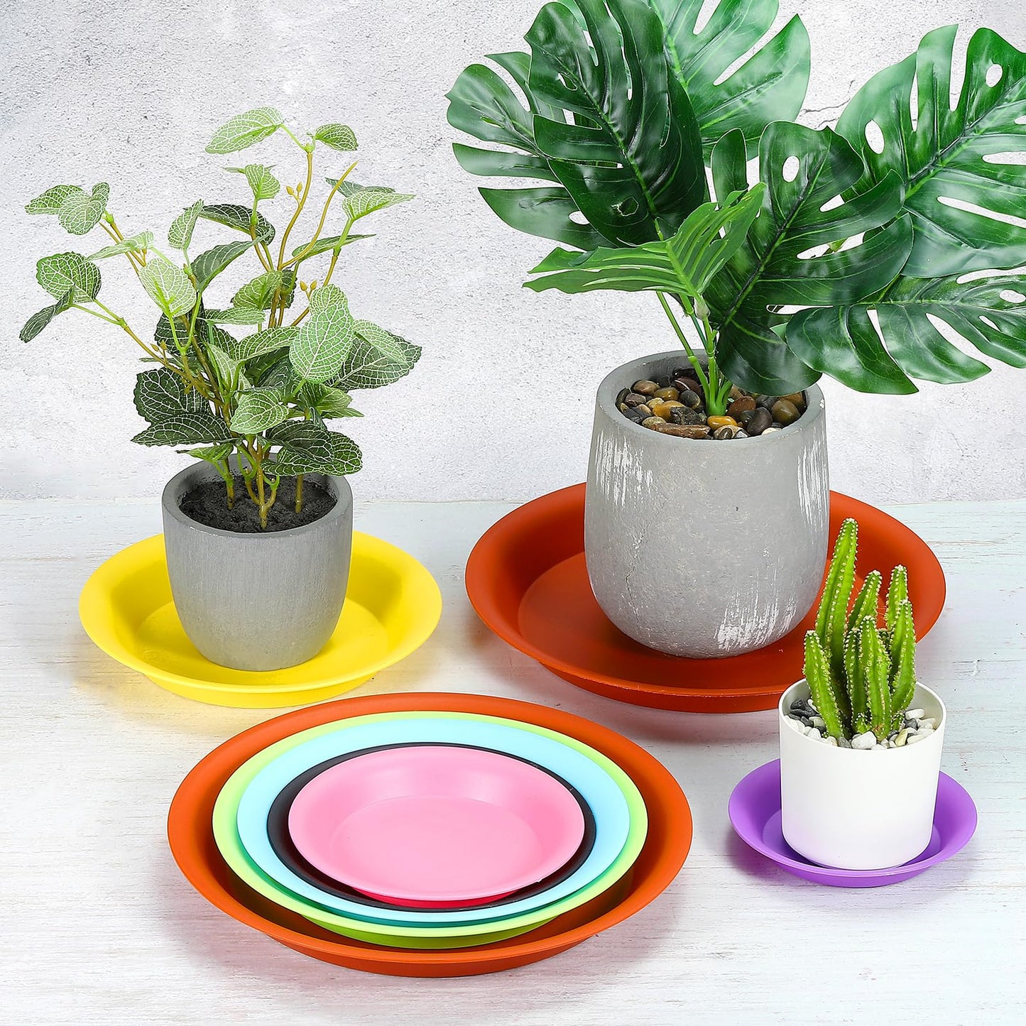 PATIKIL 10 Inch Plant Saucer Tray, 5 Pack Plastic Drip Tray Round Collects Excess Water Flower Pot Drainage Trays for Heavy Indoor Outdoor Pan, White