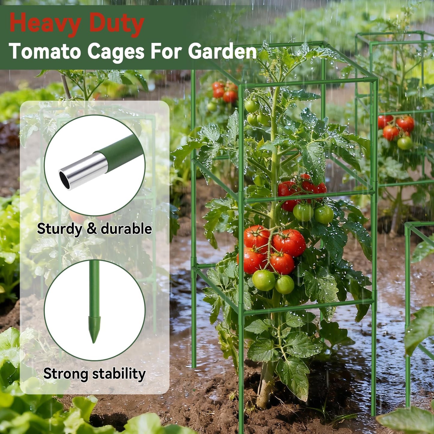 Halatool 2 Pack 60in Square Tomato Cages for Garden, Heavy Duty Adjustable Metal Tomato Trellis for Climbing Plants – Green Plant Support Stakes for Vegetables Flowers Fruits & Raised Bed Outdoor