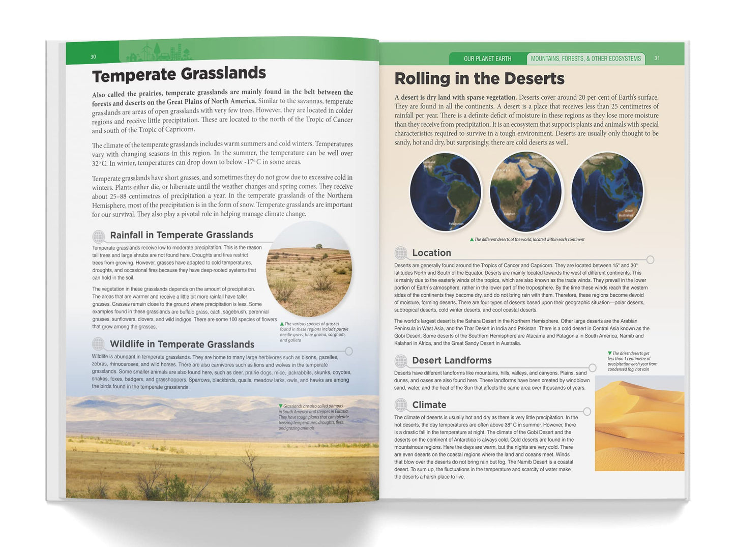 Knowledge Encyclopedia: Our Planet Earth (Knowledge Encyclopedia For Children)