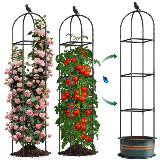 Square Tomato Cages for Garden, 6.2 FT Cucumber Trellis for Flowers, Grape, Pea, Rose, Bean, Rustproof Plastic Coated Metal Plant Support for Potted Plants Indoor Outdoor - 2PC Obelisk Trellis