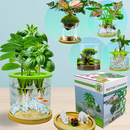 Plant Terrarium Kit, Christmas Birthday Gift for Gardener Women Mom Garden Lover | Home Office Decor