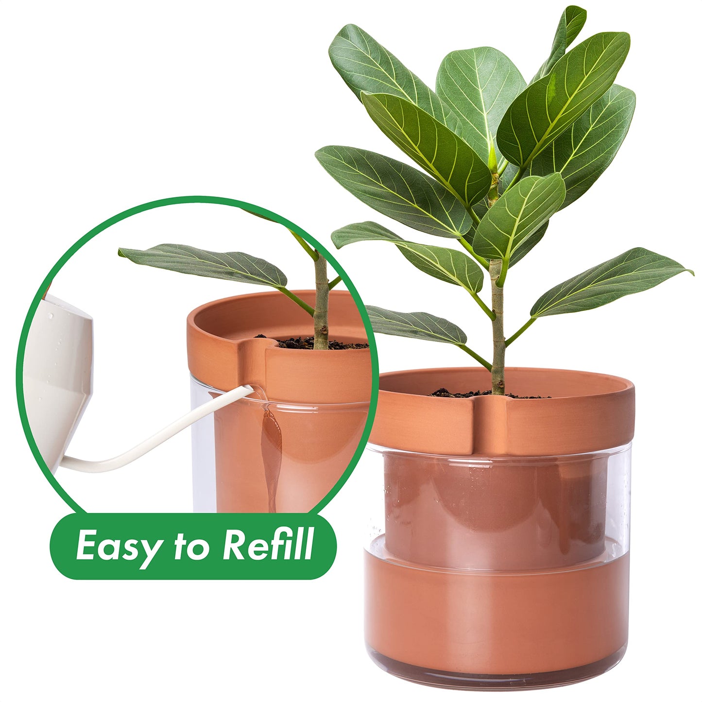Phoenix Vine 8 Inch Self Watering Planter Pot, Terracotta Clay Pot with Glass Reservoir for Indoor Plants, Herbs, Flowers, Set of 1, 52-A-H-1