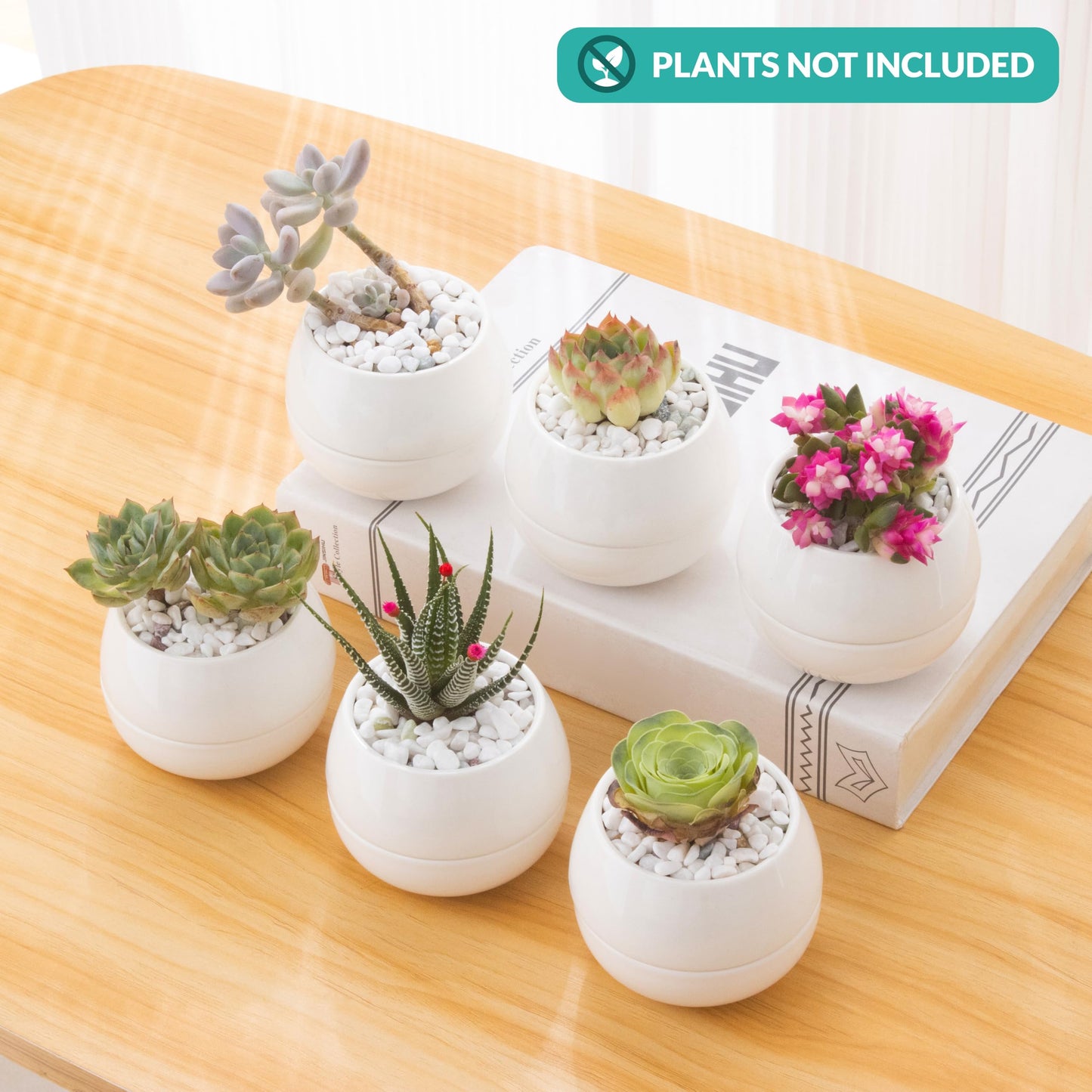 3.5 Inch Cute Porcelain Mini Plant Pots with Drainage Hole and Plug (6pk) - Includes a Bag of Decorative Pebbles, Cleaning Brush, and Tweezers - Cactus Pots, Suculentas Pot - No Plants Included