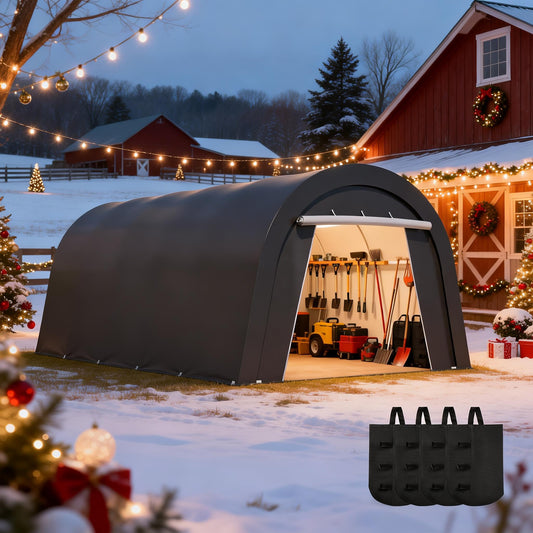 Kiss the Water Heavy Duty Carport with 4 Cloth Bags, All-Weather Car Canopy with 2 Roll-up Doors, Portable Garage Storage Shelter Shed for Cars, Truck, or Garden Tools, 10' x 20'