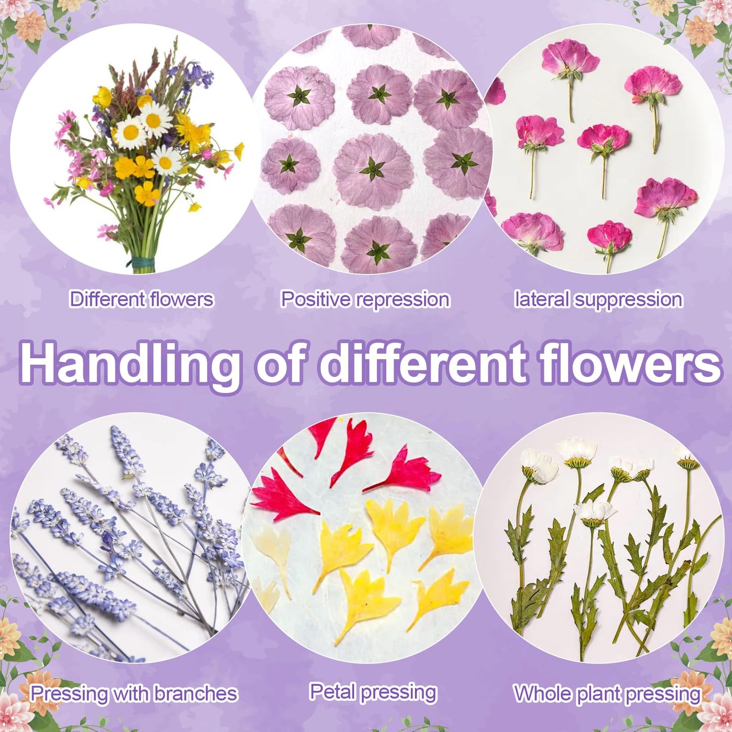 Suziko Large Flower Press Kit 10.8 x 6.9 inch for Adults, Flower and Plant Preservation Kit, Arts and Crafts for Adults Leaf Press, Great Gift for Lovers