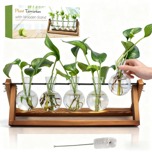 Renmxj Plant Propagation Station, Propagation Vases for Plants, Unique Gardening Birthday Gifts for Women Plant Lovers Mom Best Friend - 5 Bulb Glass Vases