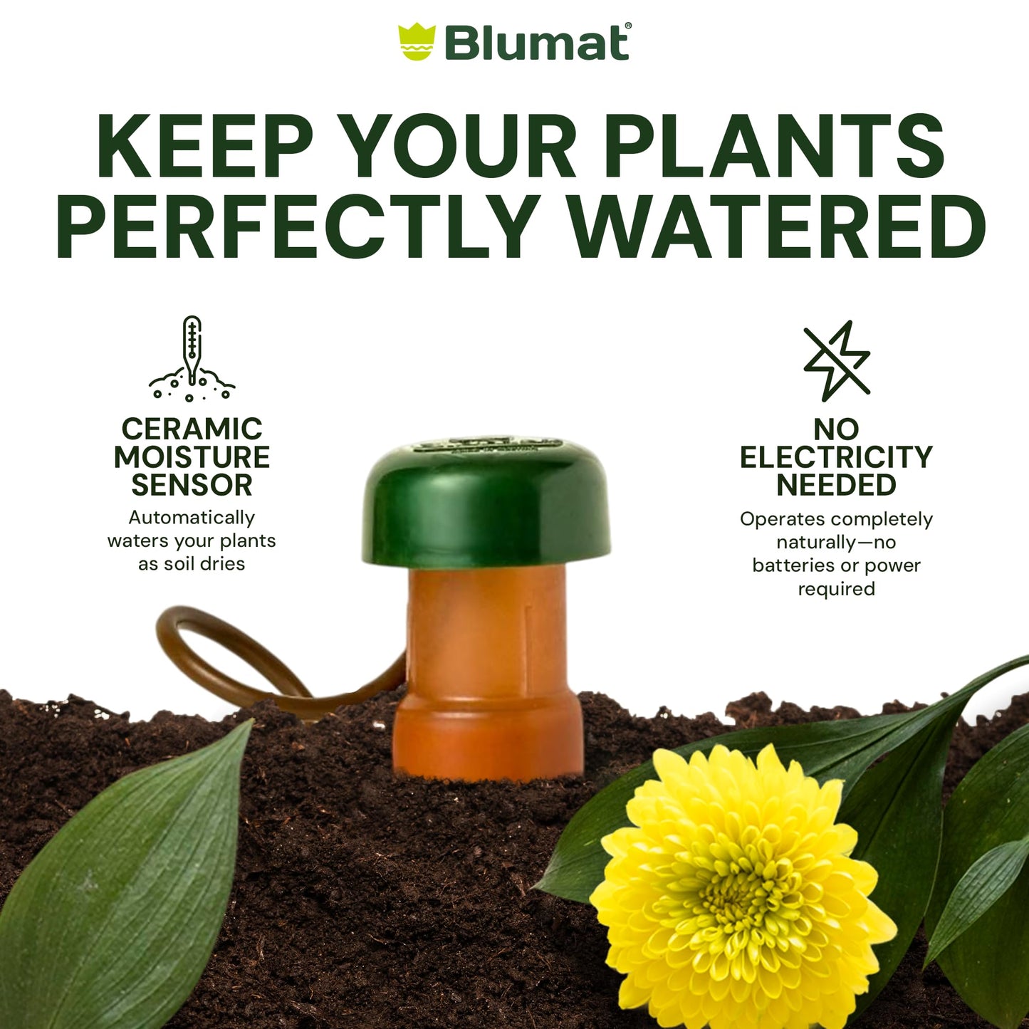 Blumat Classic Self-Watering Stakes - Automatic Drip Irrigation System for Indoor Plant Watering & Outdoor - Water Drip Solution for Potted Plants - Slow Release Stakes, 25 Pack, w Adapter