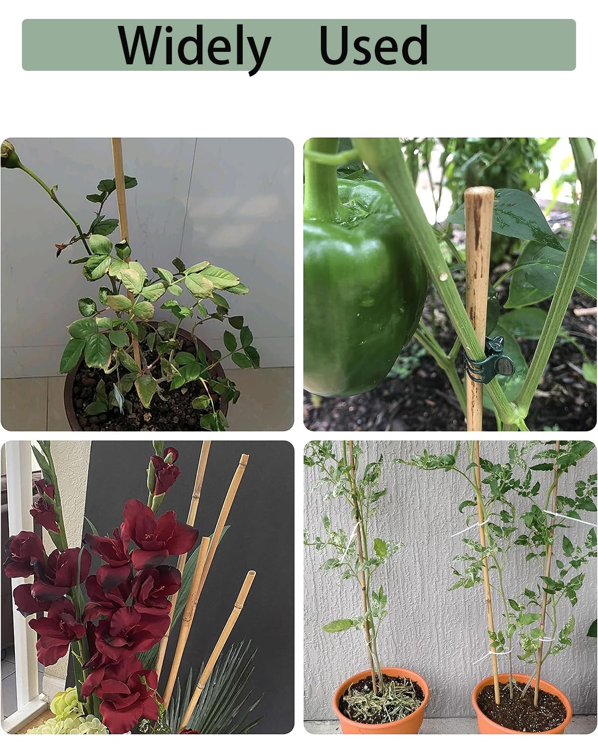 Moromyse 30Pcs Garden Stakes, 0.32”/16 Inch Bamboo Sticks with 100 Pcs Twist Ties Natural Plant Stakes for Indoor and Outdoor Plants，Poles for Tomatoes, Beans, Potted Plants