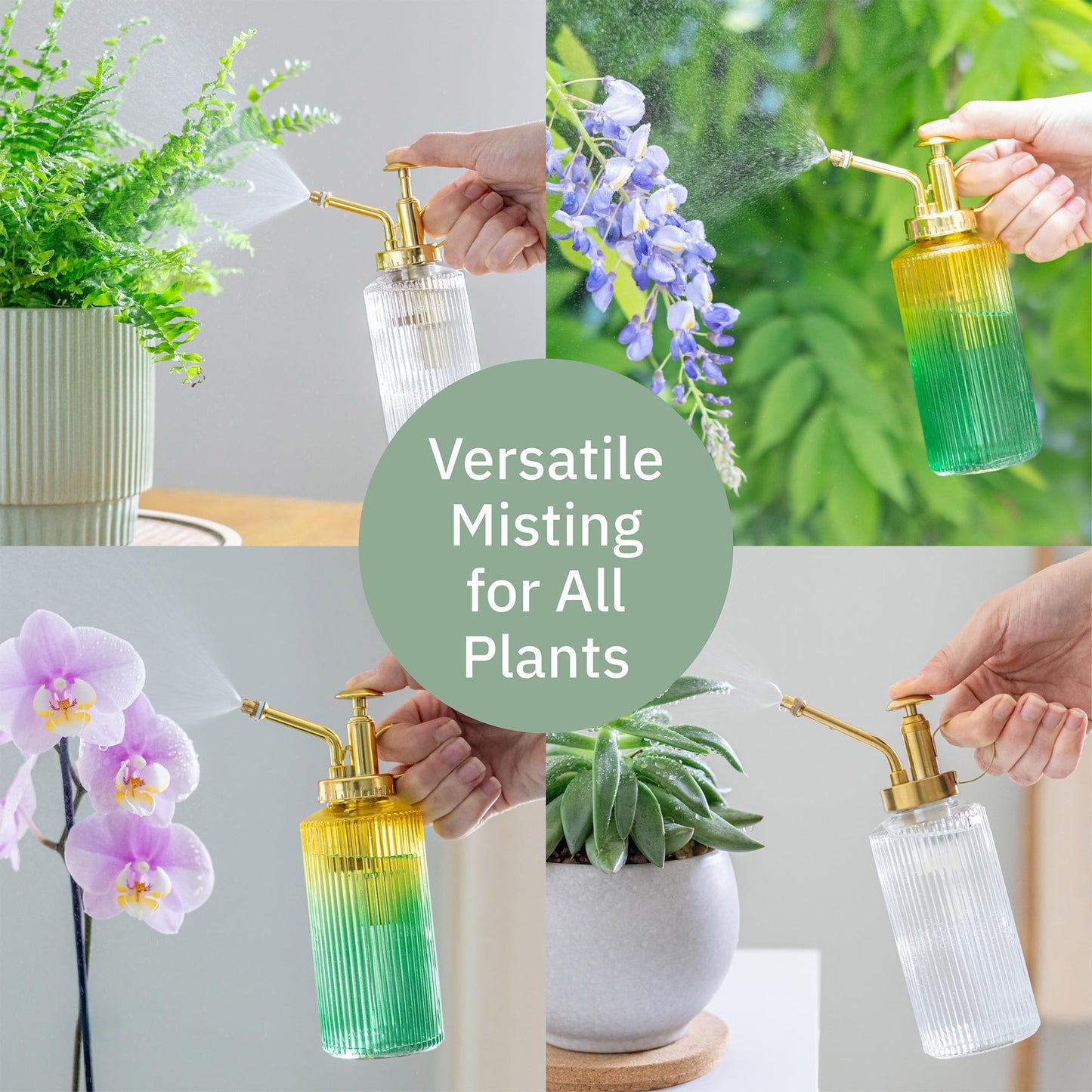 The Useful Co. Glass Plant Mister for inside, Mister for Plants, Plant Sprayer Mister, Decorative Plant Mister Spray Bottle with Adjustable Nozzle for indoor plants (230ml/ 7.8oz) - Clear