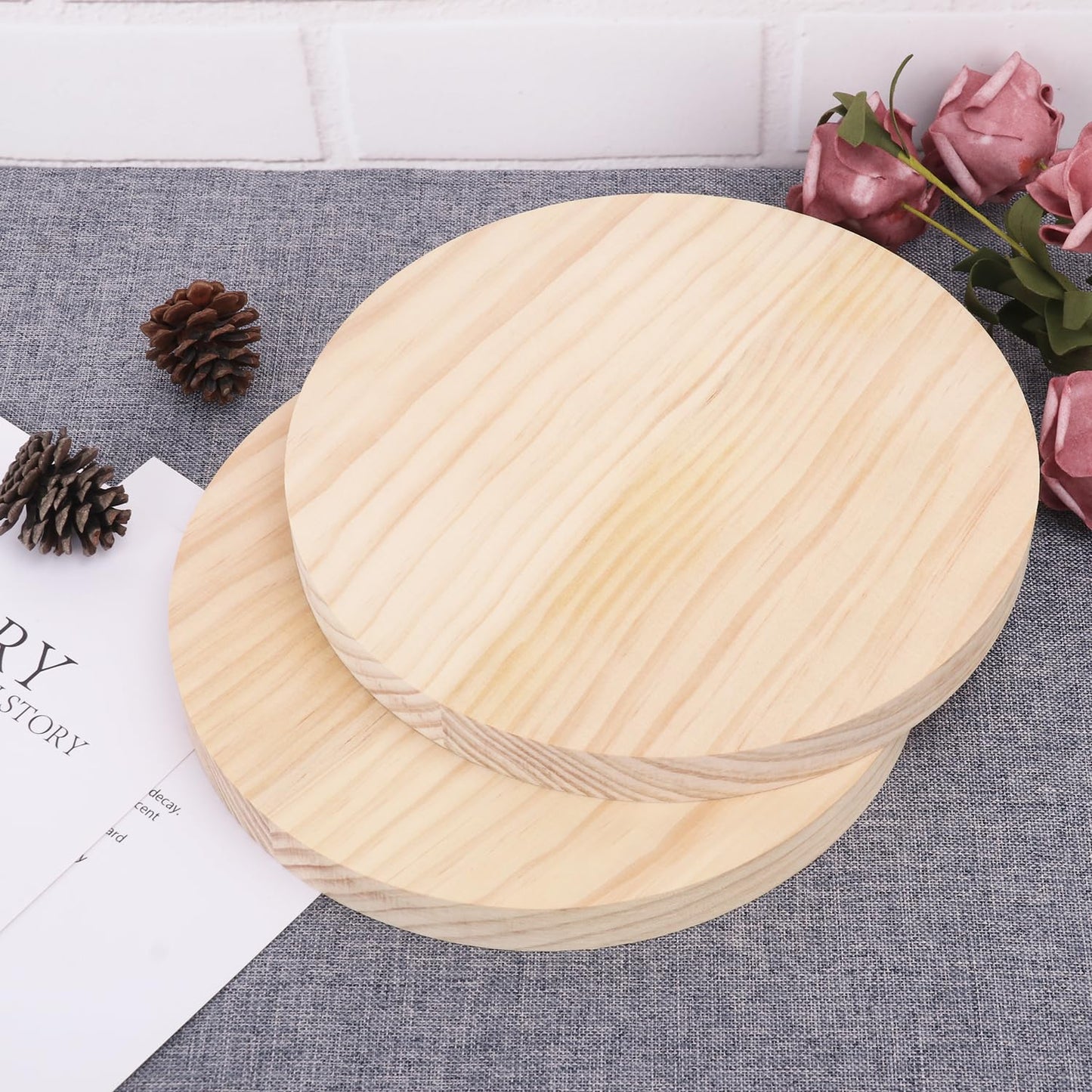 9 PCS 8 Inch Wooden Discs Circles, Unfinished Wood Coasters, Natural Wood Slices, Round Wooden Plaques for DIY Crafts, Home Decoration,Door Hangers, Wood Engraving, Wood Engraving, by GNIEMCKIN.