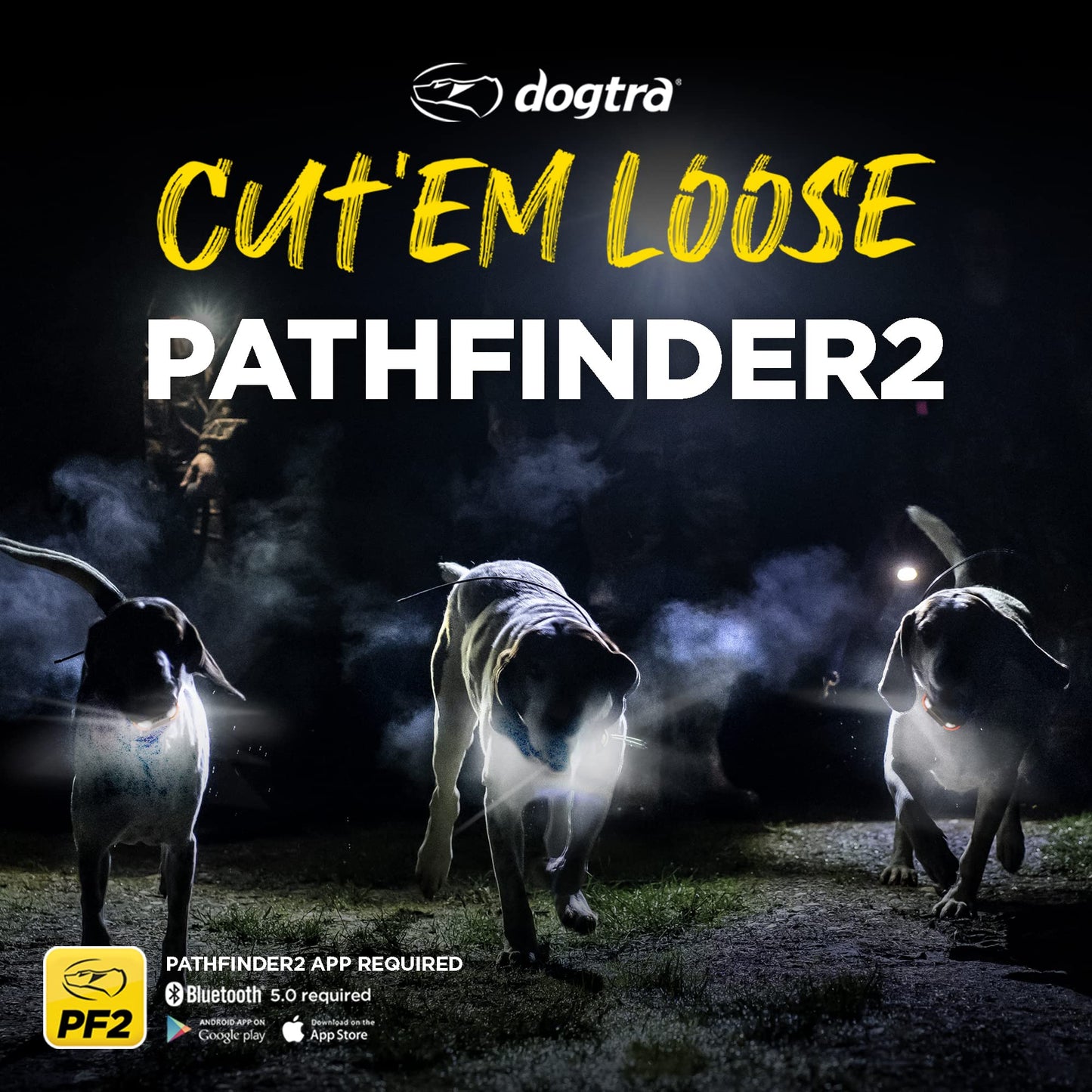 Dogtra Pathfinder 2 GPS Tracker e Collar + Titanium Enhanced Contact | 9 Mile, LED Light, No Monthly Fees, Waterproof, Smartwatch Control, Satellite Tracking, Multiple Dogs, Smartphone Required