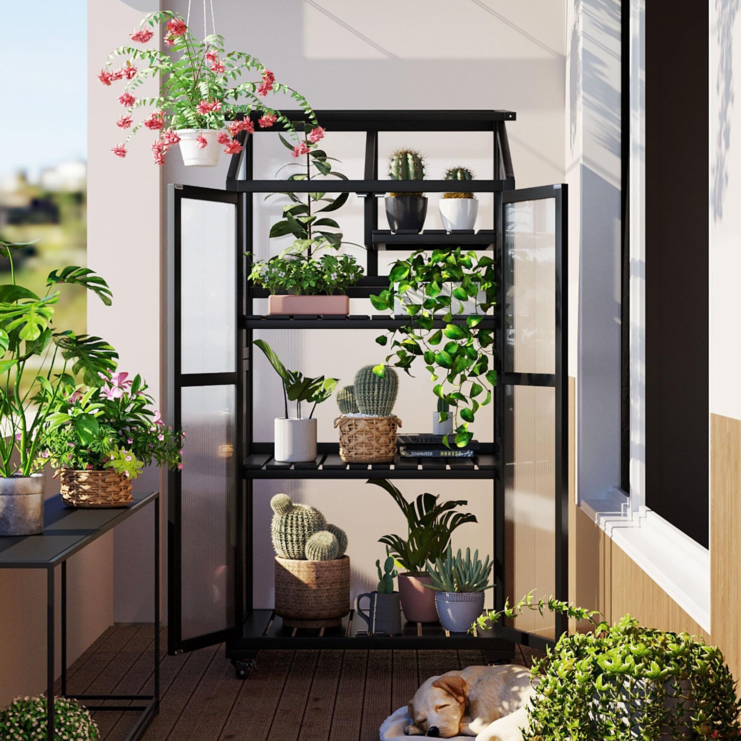 Merax Mini Greenhouse for Outdoors / Indoors, 62 inch Height Portable Wood Cold Frame with Wheels and Adjustable Shelves, Black