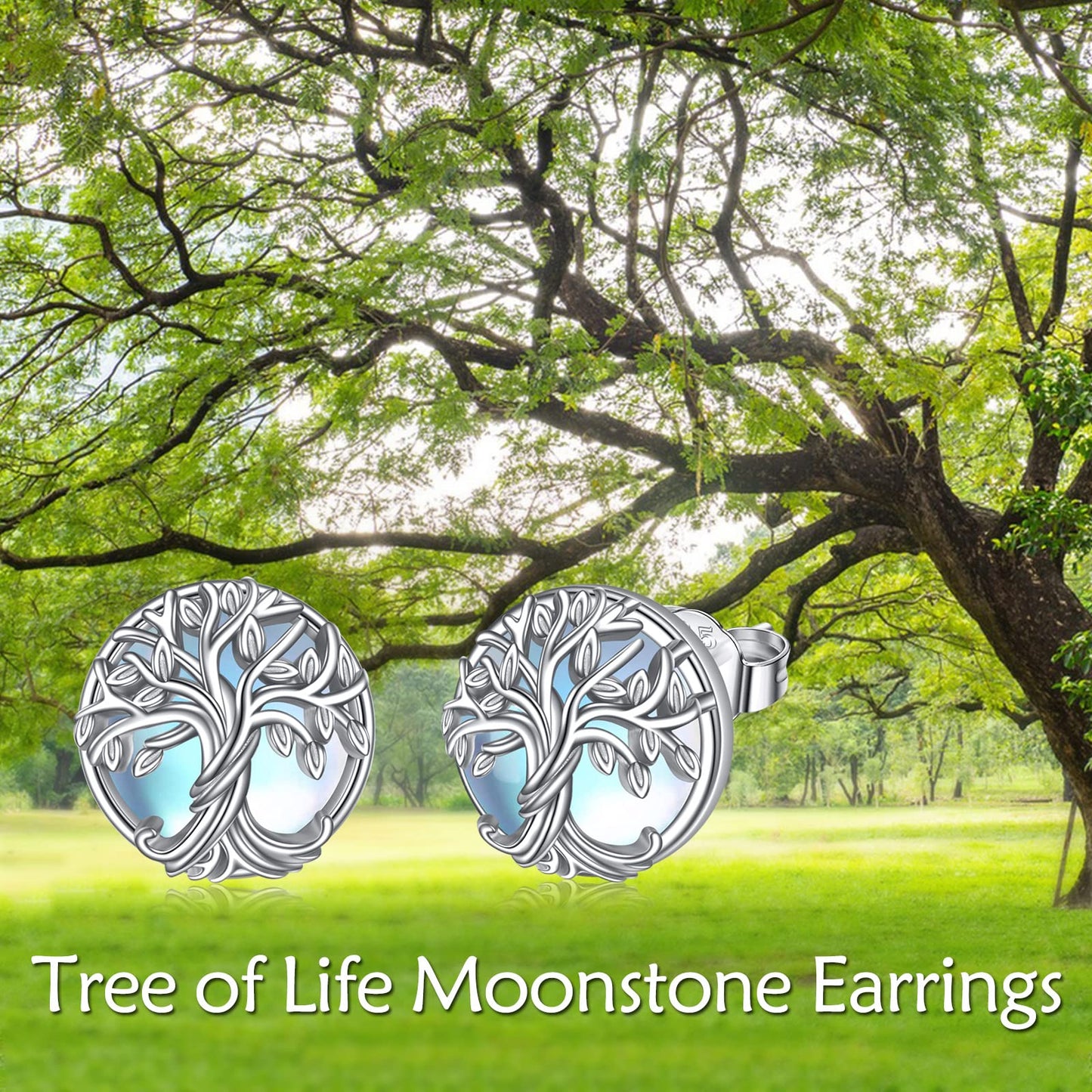 WINNICACA Stud Earrings for Women Hypoallergenic Stud Earring Tree of Life Earrings for Women 925 Sterling Silver Tree Life Jewelry for Sensitive Ears Birthday Mothers Day Gifts for Mom Grandma