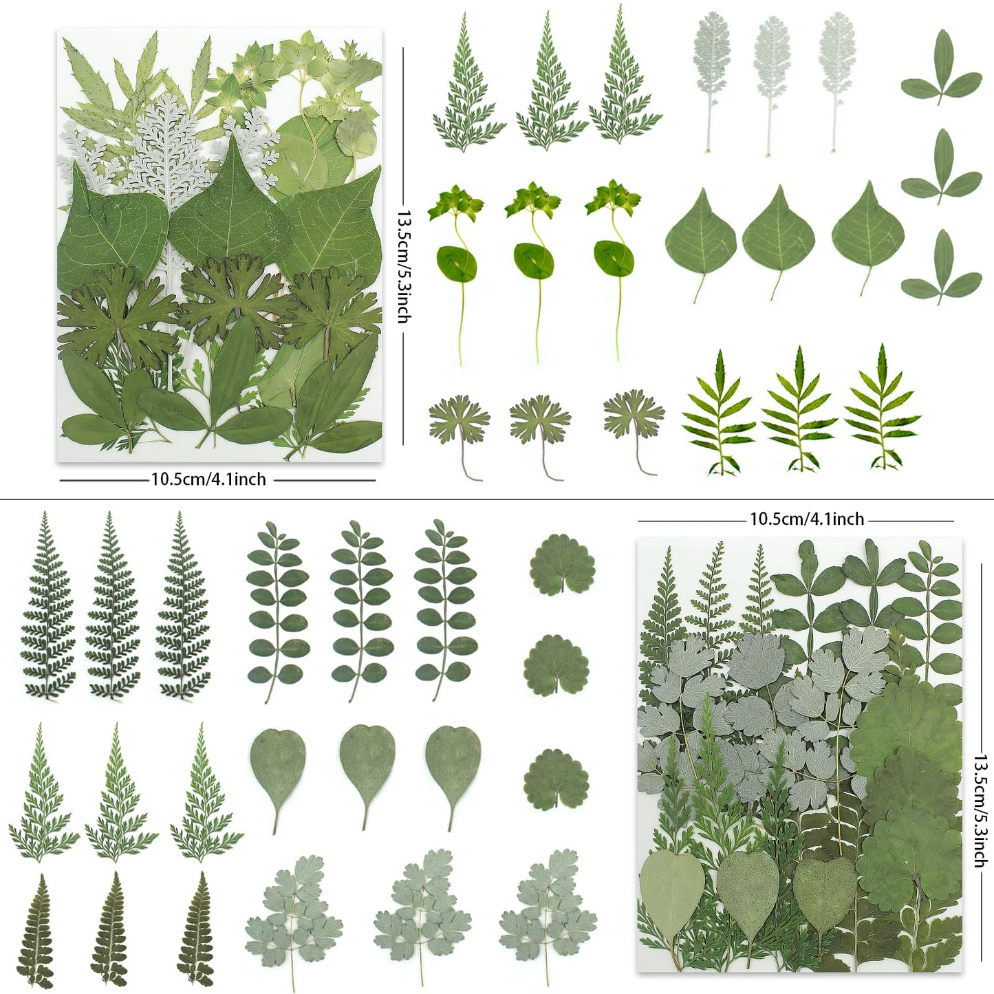 LUXEEASE 84P Dried Pressed Flowers and Leaves Kit - Natural Earthy Green Leaves, Ferns & Eucalyptus for Resin Art, Scrapbooking, Soap Making, Candle Making, DIY Gifts - Tweezers Included