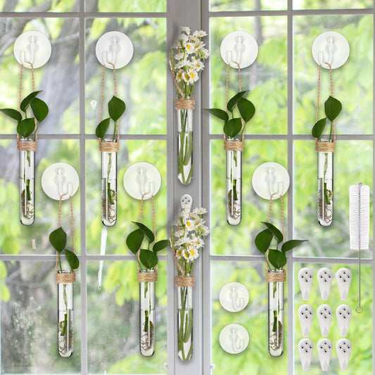 Baderke 9 Pack Clear Window Propagation Stations Plastic Window Planter with Suction Cups & Traceless Nails, Propagated Plant Holders with Bottle Brush, Hanging Vases Terrarium Gift(5")