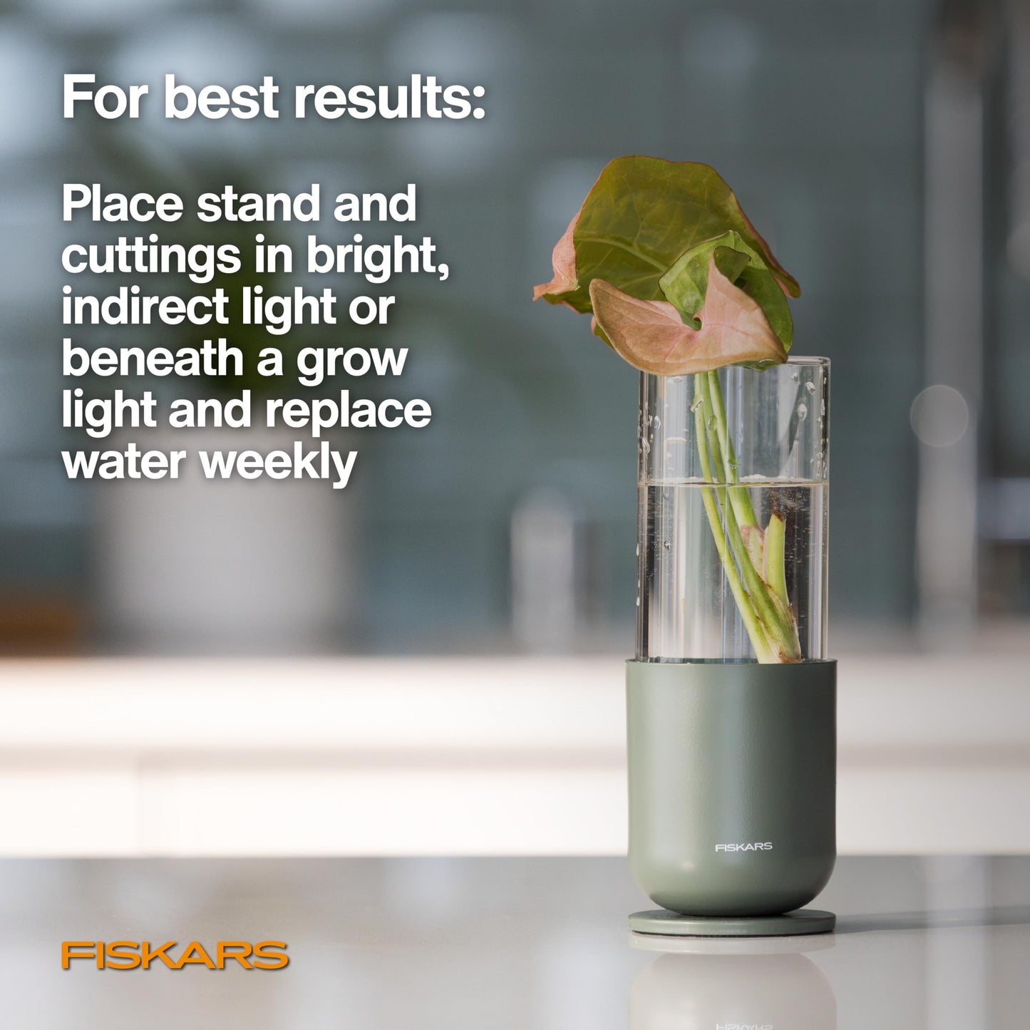 Fiskars Plant Propagator, Single Glass Vase with Metal Stand for Rooting Cuttings, Hydroponic System for Indoor Gardening Decor, Straight Sided Flute for Safe Root Removal, 5 oz, Clear