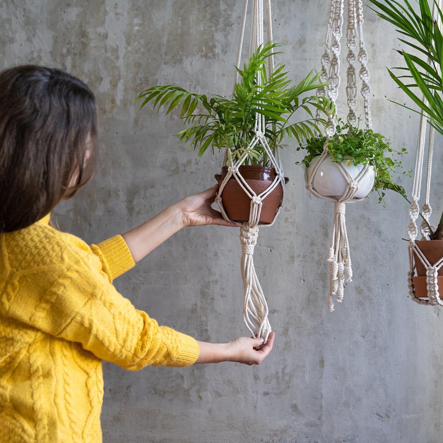 PATIKIL Plant Hanger, 12 Pcs Pulley Retractable Hanging with Ceiling Hook Indoor and Outdoor Plant Pots Holder, for Planters, Flower Basket, Bird Feeders, Black