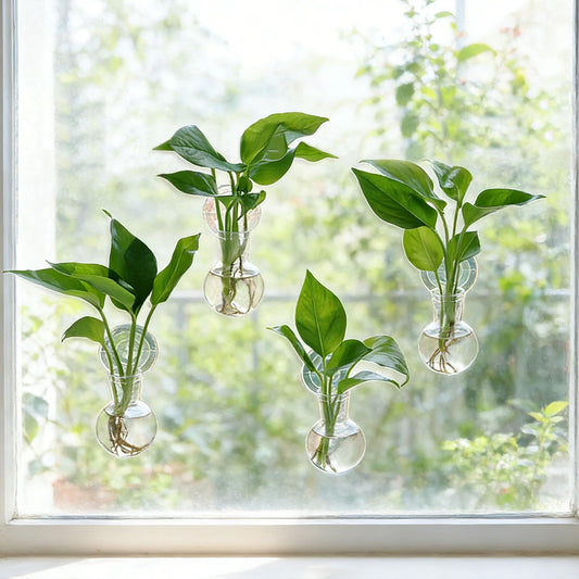 Bunmery 4 pcs Window Propagation Stations, Suction Cup Plastic Plant Propagation Bulbs, Easy to Install Wall Hanging Planter, No Nails Plastic Plant Terrarium Vase