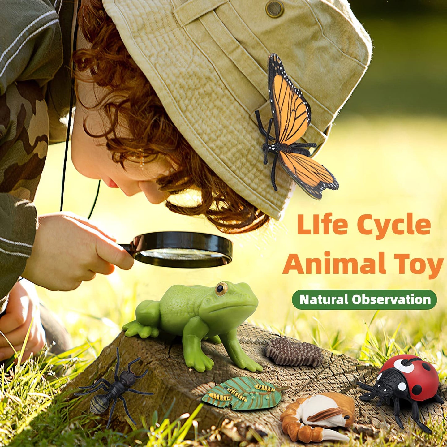 MIKNEKE Montessori Life Cycle Animal Figurines Learning & Education Toys, Plastic Insect Life Cycle Toys for Kids, Preschool Learning Activities for Toddlers (Plant Bee Ant)