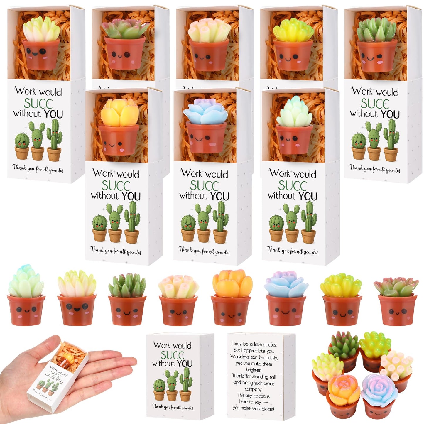 Jenaai Succulent Thank You Gift Bulk Positive for Teacher Nurse Employee Coworker Resin Cute Succulent Gifts Small Cactus Pocket Desk Favors with Positive Pun Boxes for Team Staff
