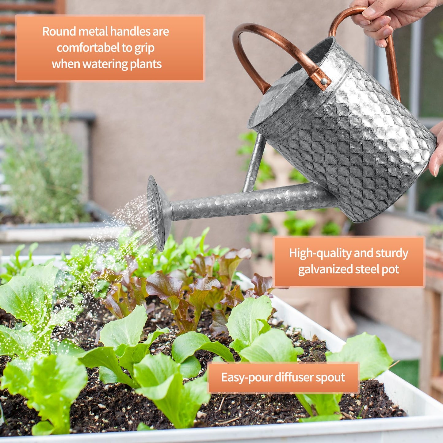 BLstyle 1 Gallon Metal Watering Can for Outdoor Indoor Plants, Galvanized Watering Can with Removable Spray Spout, Ideal for Garden Watering