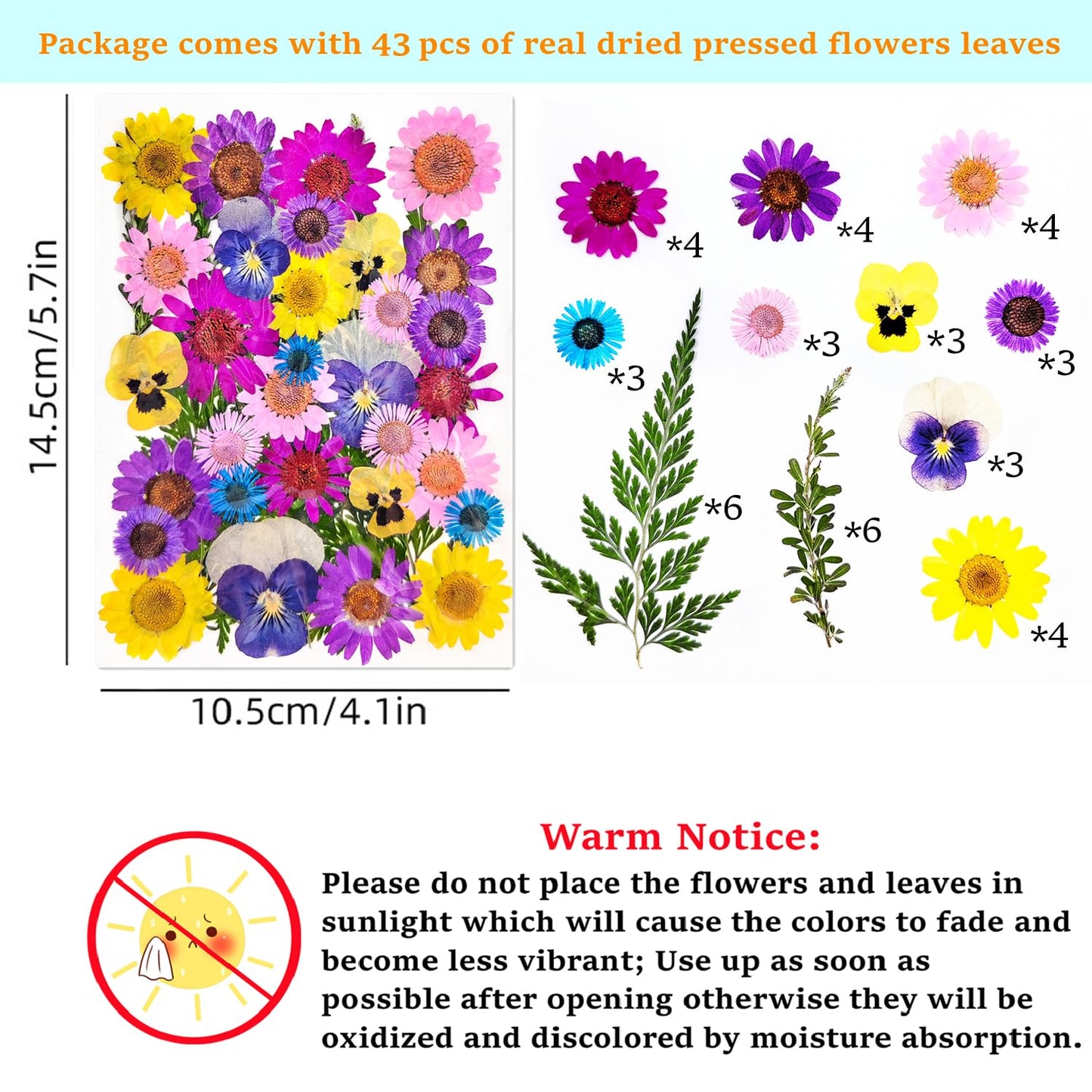 Cardstock Blank Bookmarks Set, 12 Pcs DIY White Craft Bookmarks for Pressed Flowers, Dried Floral Book Mark Making Kit, Book Marks for Dried Floral, Gifts for Book Lovers (Classic Style)