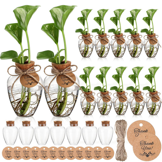 Baderke 12 Pack Big 10oz Plastic Plant Propagation Stations with Hole Lid Planter Vase Clear Propagation Jars with Thank You Tags for Plant Lover Gifts for Women Office Home Garden