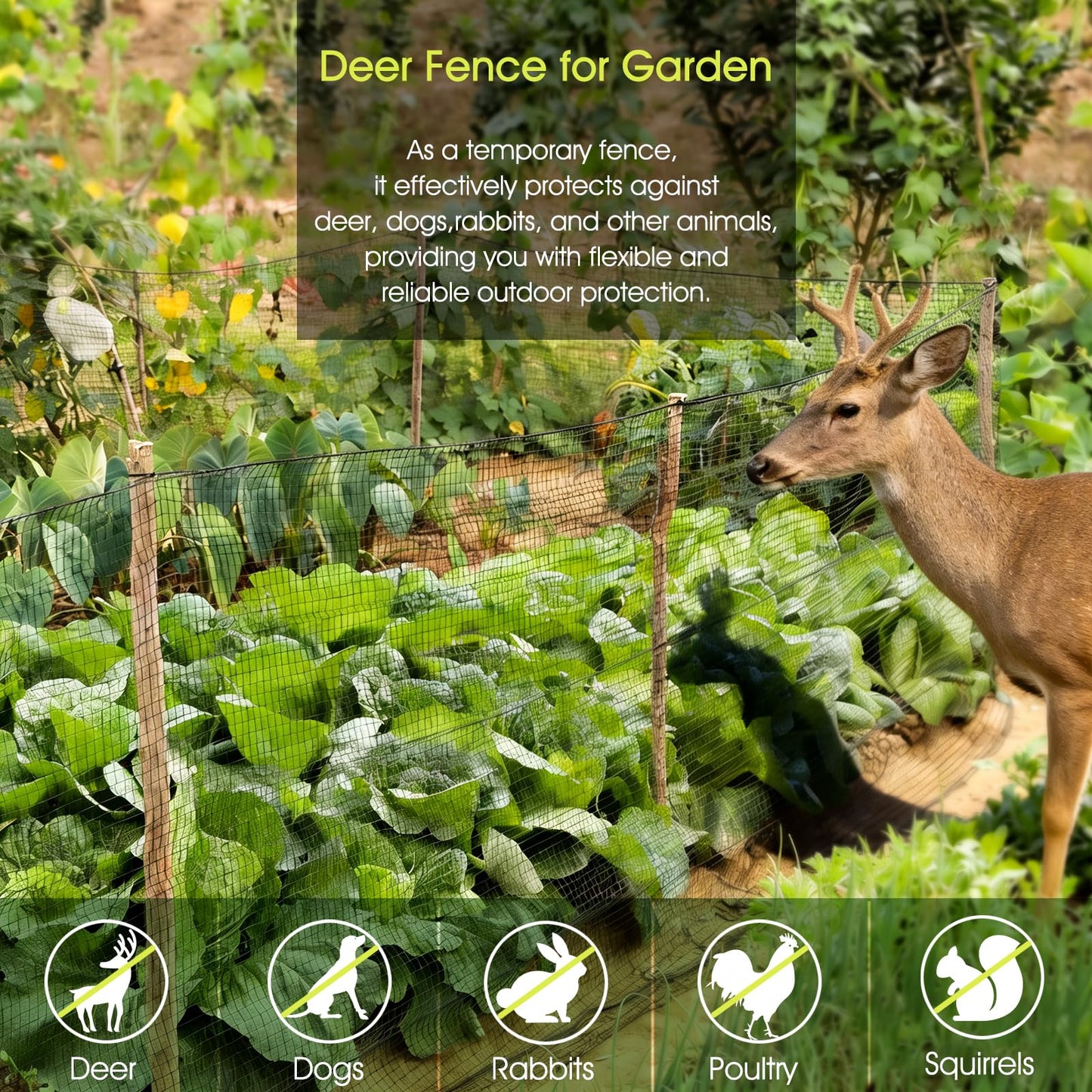 Deer Fence, RIFNY 6.5 x 100 FT Temporary Fence for Garden Outdoor Yard, Plastic Mesh Fencing Netting to Protect Plants Fruit from Deer Dogs Chicken Animal (Black)