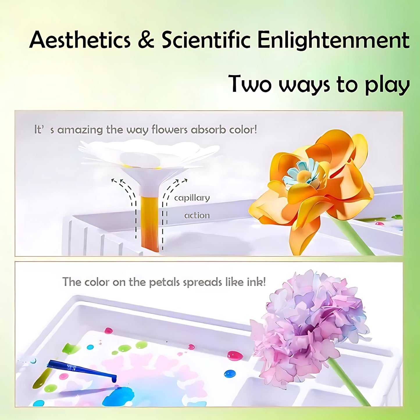 TEHZYORA Paper Flower Science Kits & Crafts for Girls Ages 8–12 – DIY Color-Wicking Blooming Flowers with Primary Dyes, STEM Art Project, Bouquet Box Included (Green)