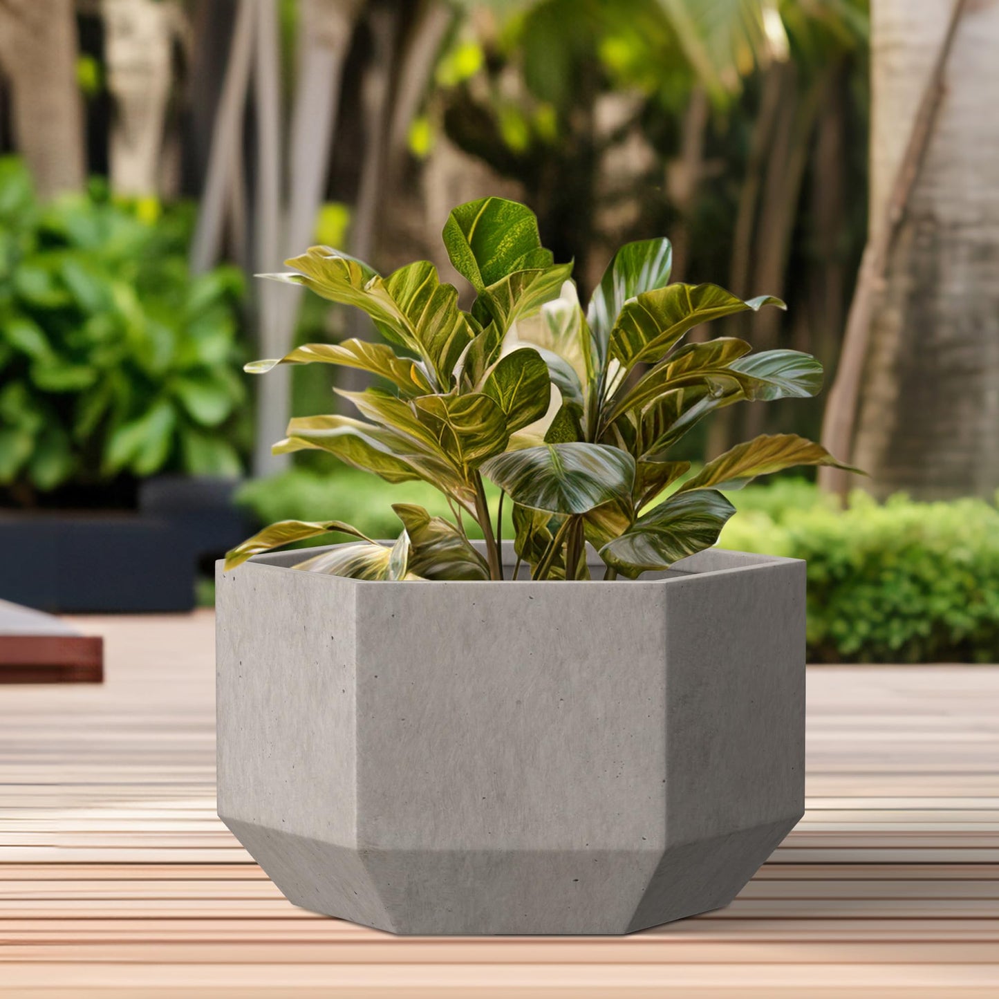 Kante Hexagon Concrete Planter, 7.9 Inch Tall Outdoor Indoor Flower Pots with Drainage Holes and Rubber Plug for Home, Patio, Garden, Weathered Concrete