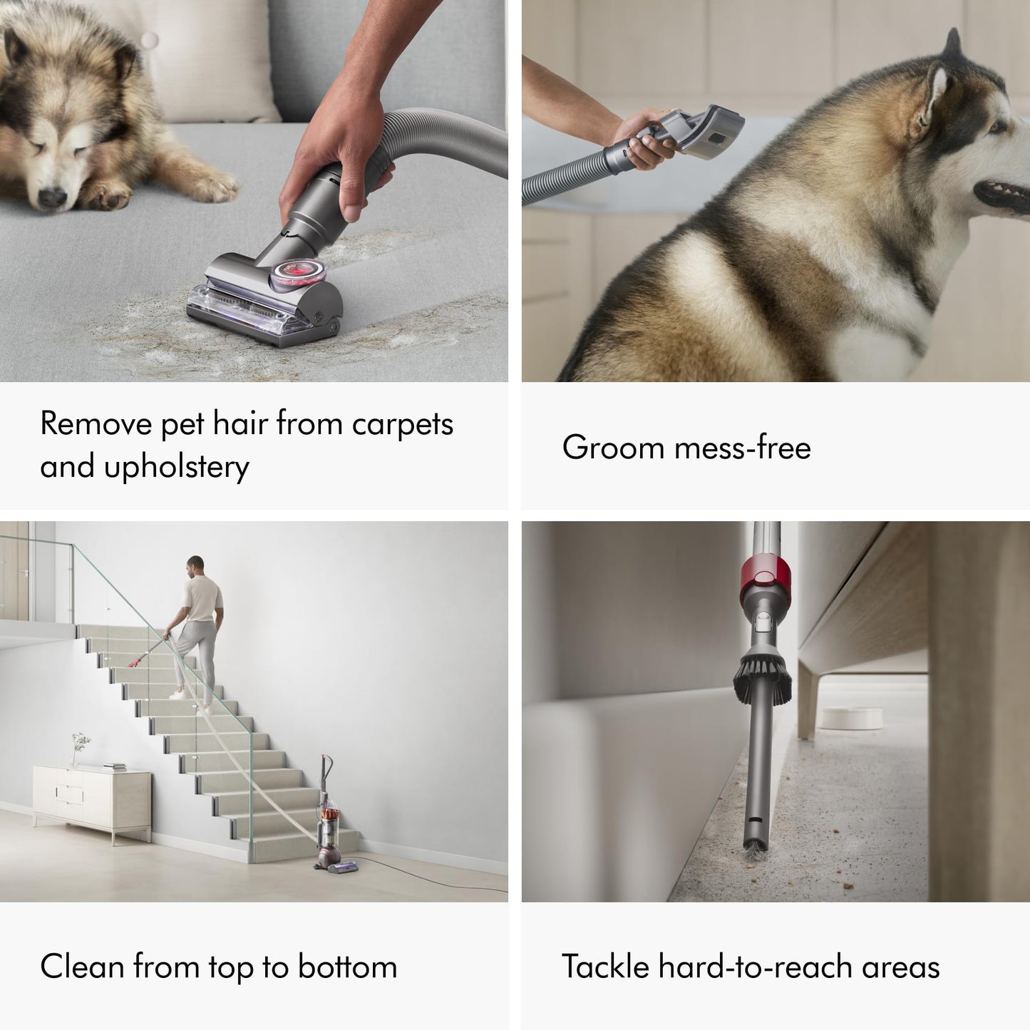 Dyson Ball Animal 3 Extra Upright Vacuum, Corded, 290AW, De-tangling Motorbar Cleaner Head for All Floors, 3 Suction Modes, Specialized pet Tools