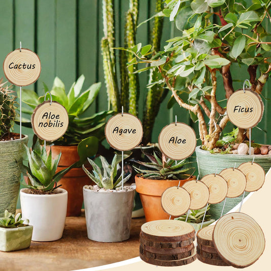 Hicarer 15 Set 4 Inch Large Wooden Plant Markers,15 Pcs Garden Stakes(11.8 Inch Tall) &1 Marker Pen, Garden Labels Tags Sign for Flowers Herbs Seed Vegetable, Hint: A Firm Push for Ideal Hang
