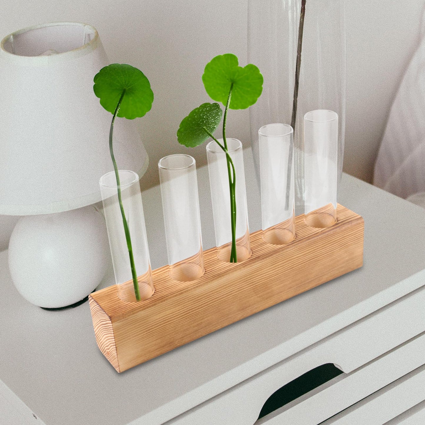 Luxshiny Hydroponic Indoor Plant Terrarium Vase with 5-Hole Glass Container and Wooden Stand, Desktop Home Vase Decor for Tabletop Gardening and Indoor Plant Propagation