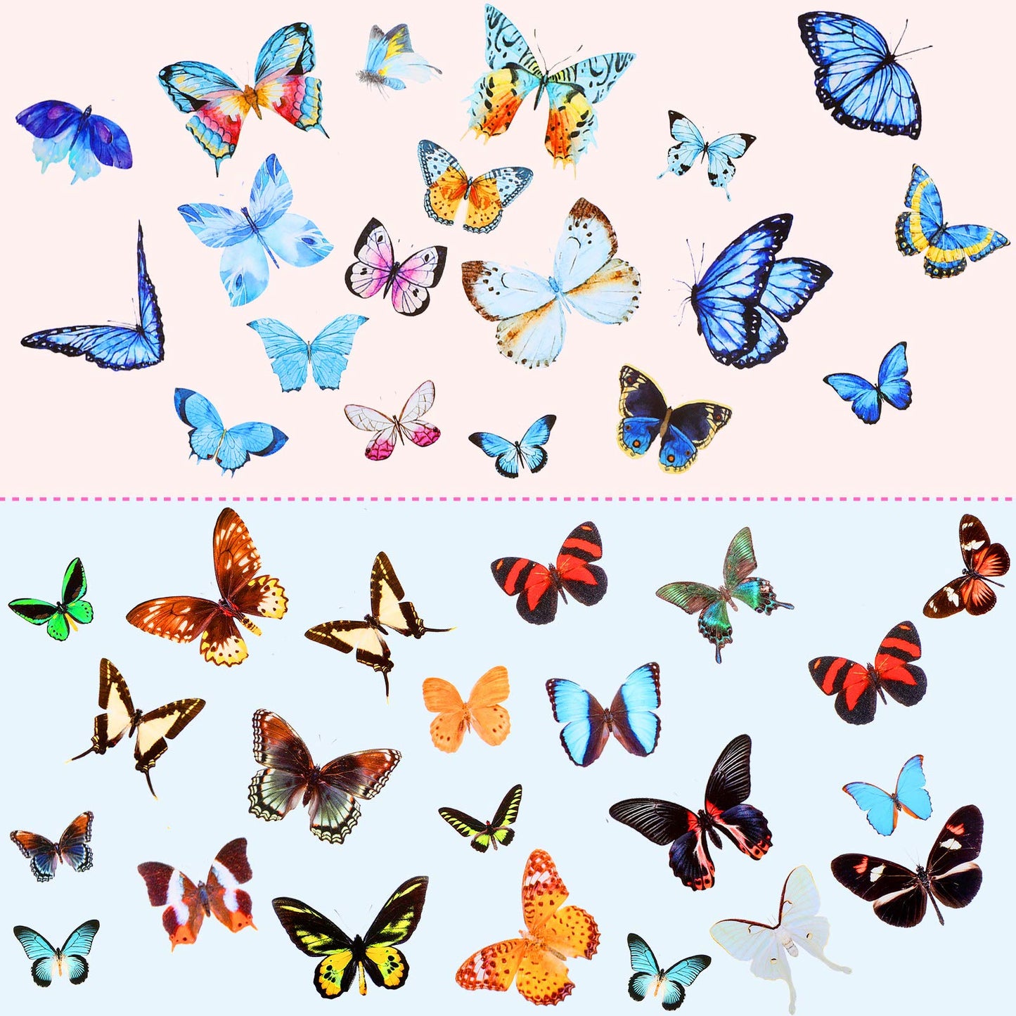 Dried Pressed Flower and Butterfly Transparent Sticker Set, Natural Real Dried Flower Butterfly Scrapbook Decal with Box and Curved Tweezers for DIY Decoration Resin Making (Bright Series)