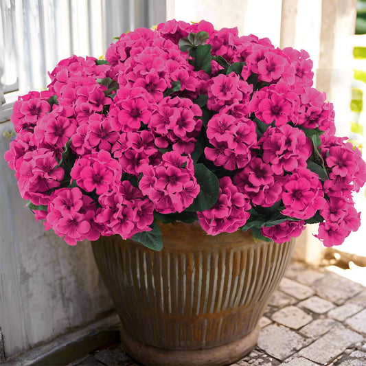 Hananona 6 Pcs Artificial Geranium Flowers for Outdoors Geraniums Silk Flowers Outdoor UV Resistant Garden Plants Faux Flowers for Home Kitchen Table Centerpieces Decor (6, Rose Red)