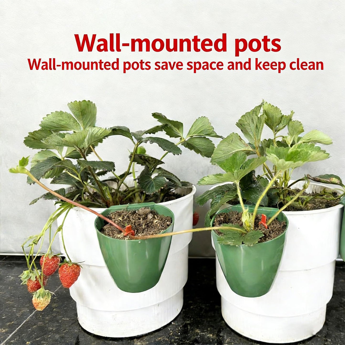 Propagation Cup Set Featuring Food Grade and Runner Forks Ideal for Strawberry Runners and Seedling Cultivation Drainage Planting Cups