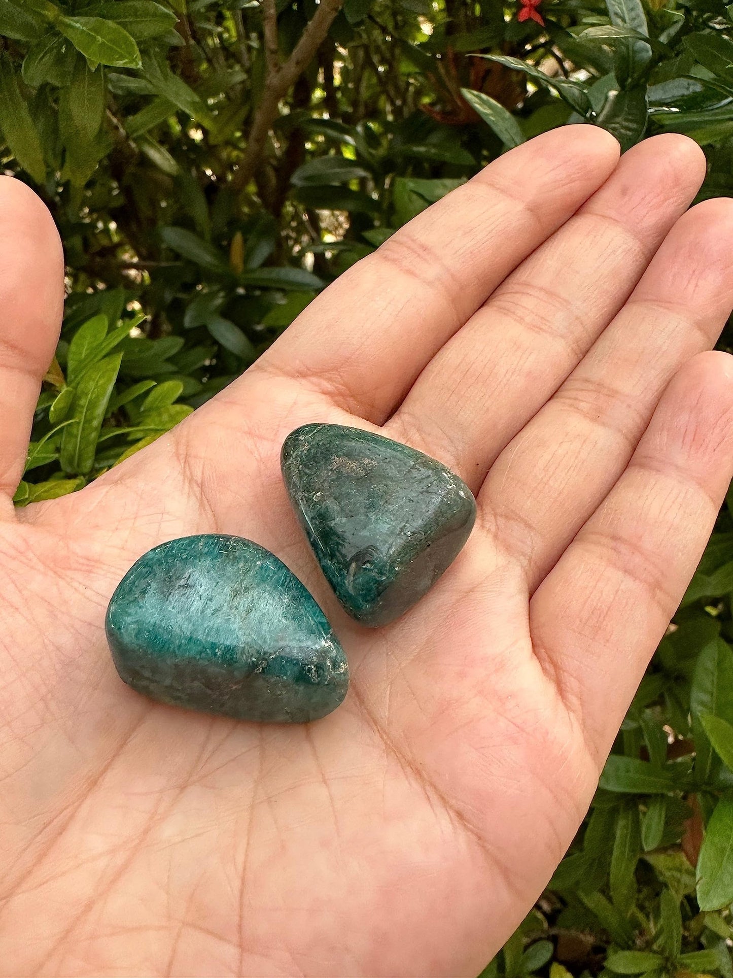 WHOLESALE Apatite Tumbled Stones, Polished Apatite Gemstone, Apatite Polished Rocks (Apatite, 0.25 Pound)