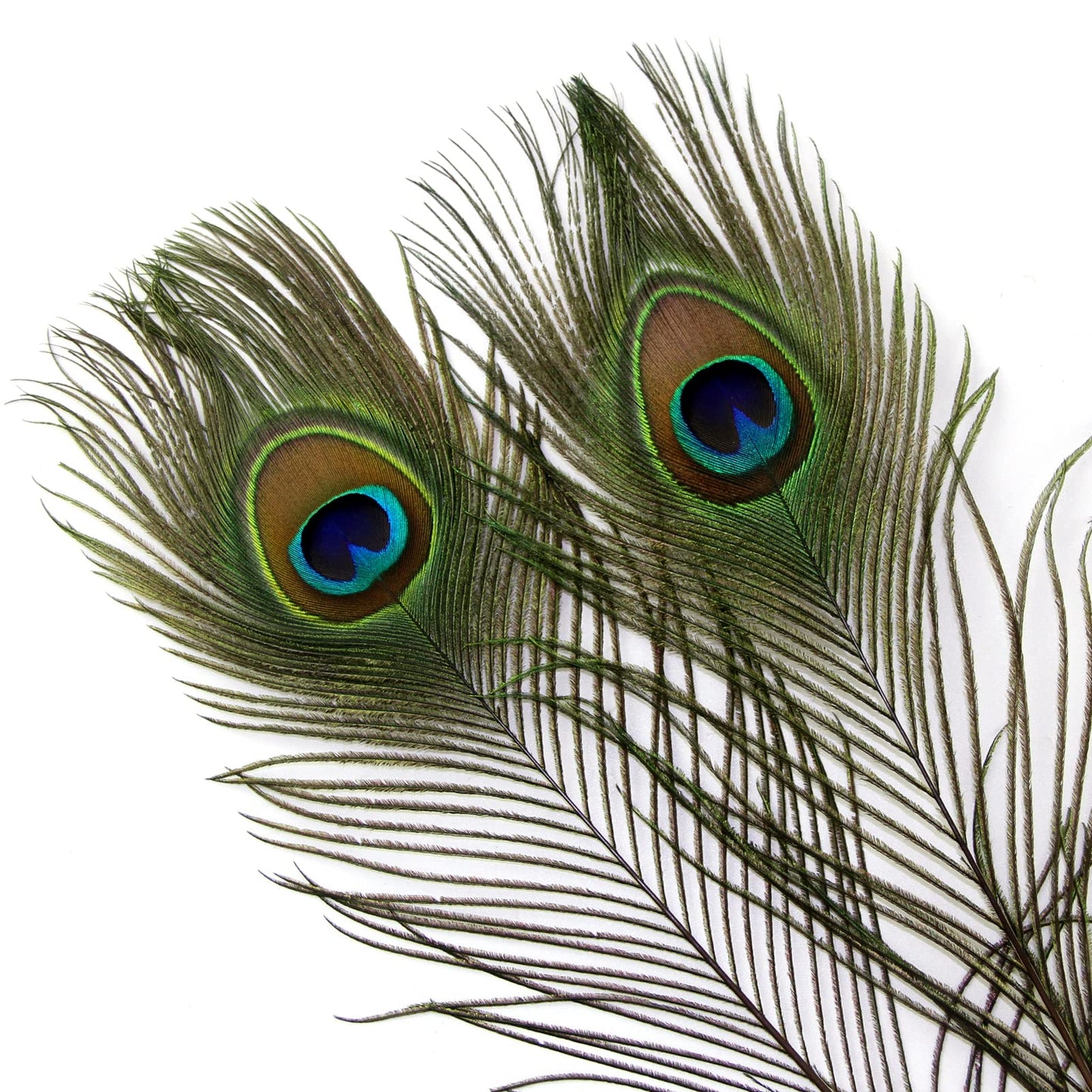THARAHT 24pcs Peacock Feathers Natural Long in Bulk 30-32 inch(75-80 cm) for Floral Arrangements DIY Craft, Wedding Home Party Holiday Decoration Peacock Feathers